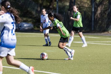 Bild 296 - wCJ Suederelbe - wBJ UH-Adler : Ergebnis: 7:1